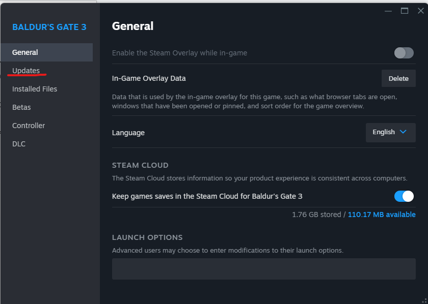 Image on BG3 properties window in steam